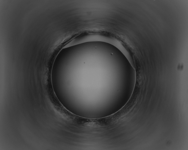 X0000091470544200708301855