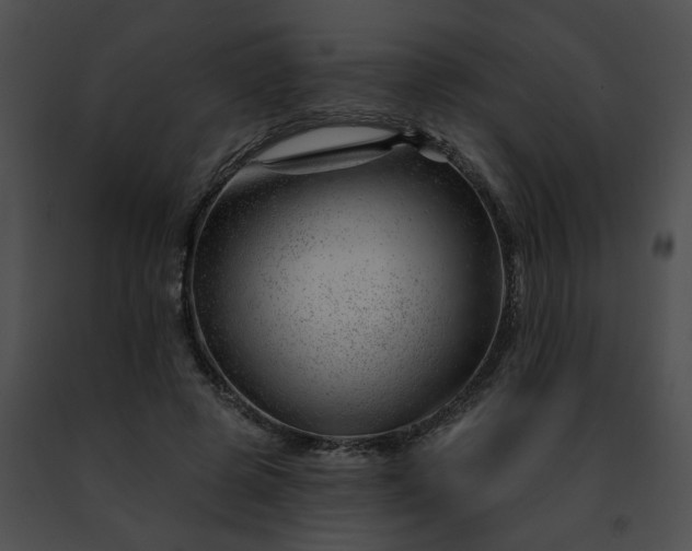 X0000091470545200708301855