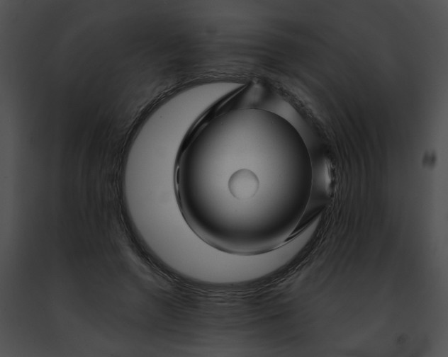 X0000091470546200708301855