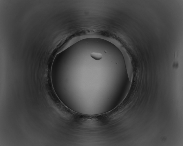 X0000091470548200708301855