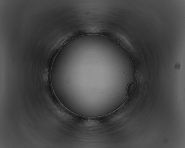 X0000091470549200708301855