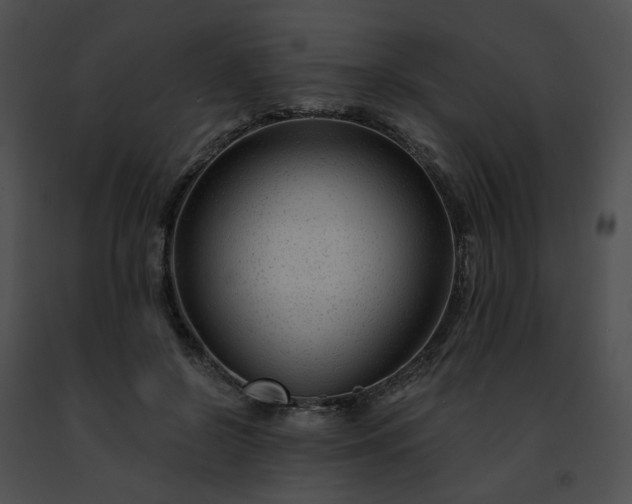 X0000091470550200708301855