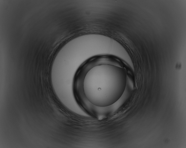 X0000091470552200708301855