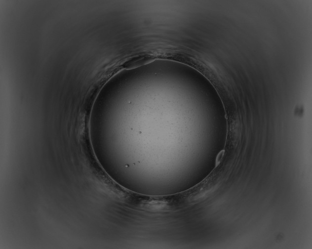 X0000091470554200708301855