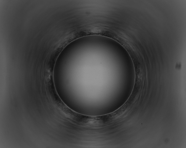 X0000091470555200708301855