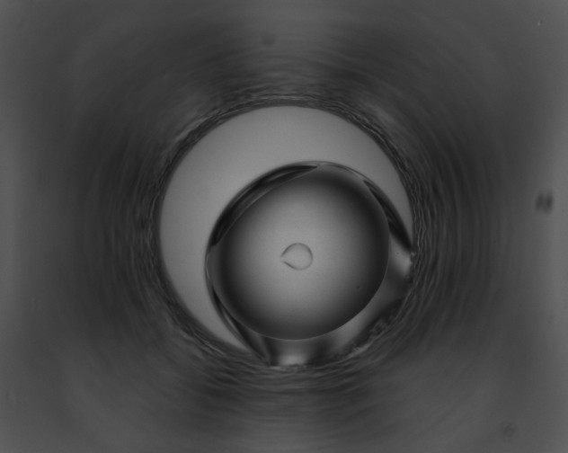 X0000091470556200708301855