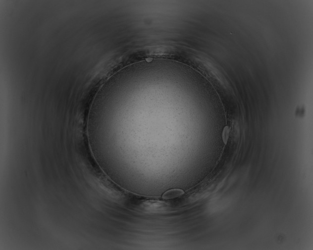 X0000091470557200708301855