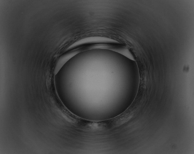 X0000091470558200708301855