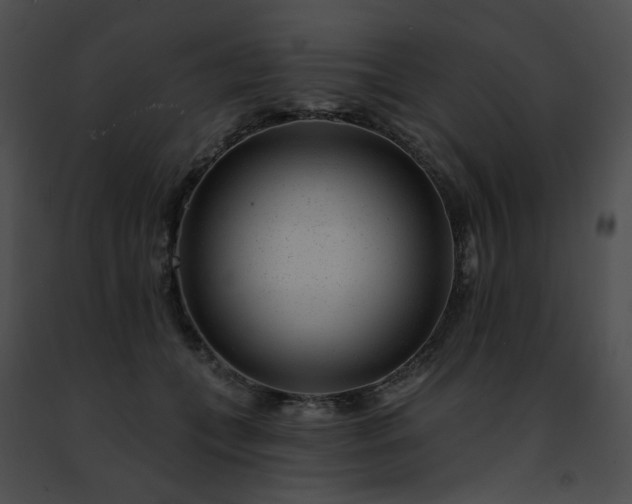 X0000091470559200708301855