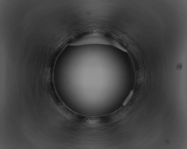 X0000091470560200708301855