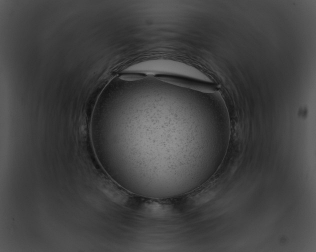 X0000091470561200708301855