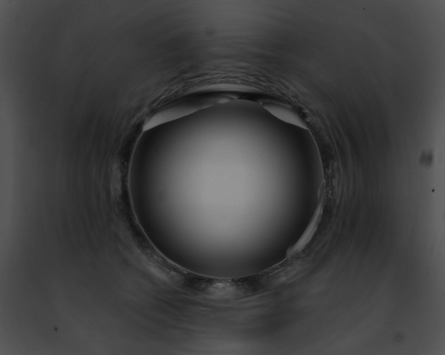 X0000091470562200708301855