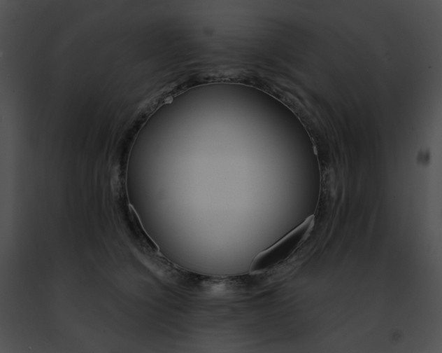 X0000091470564200708301856