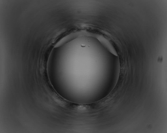 X0000091470566200708301856