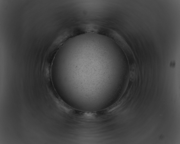 X0000091470573200708301856