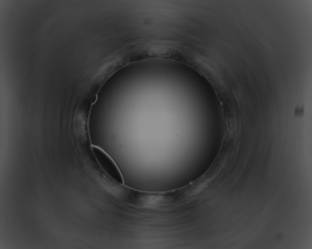 X0000091470575200708301856