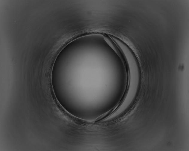 X0000091470577200708301855