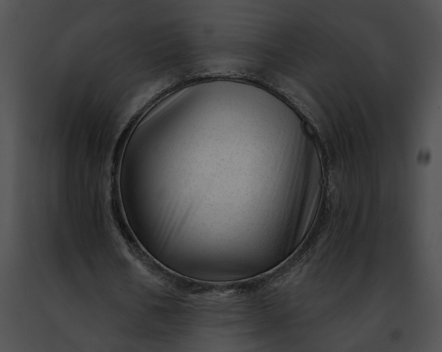 X0000091470578200708301855