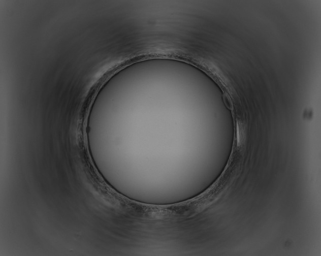 X0000091470579200708301855