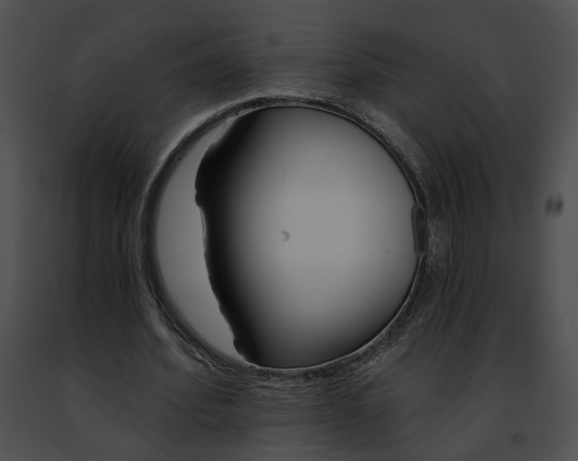 X0000091470580200708301855