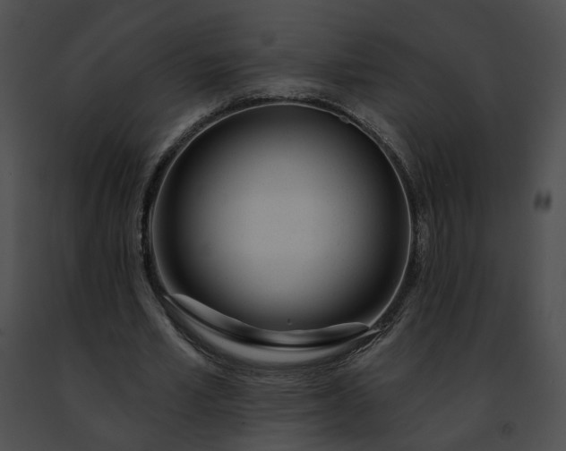 X0000091470581200708301855