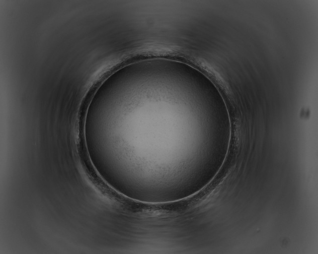 X0000091470582200708301855