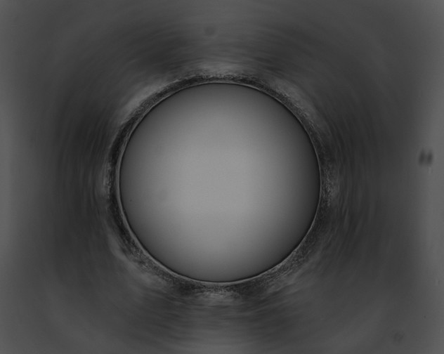 X0000091470583200708301855