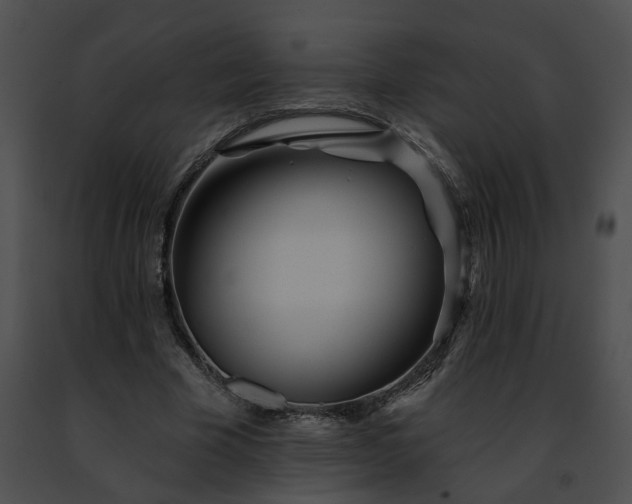 X0000091470585200708301855