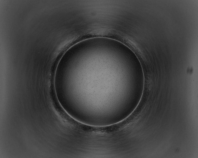 X0000091470586200708301855