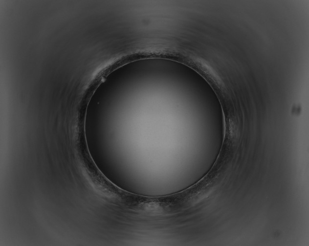 X0000091470588200708301855