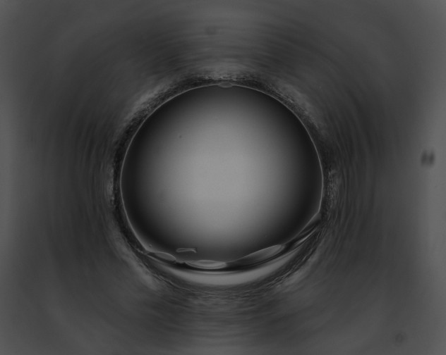 X0000091470589200708301855