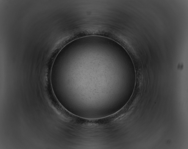 X0000091470590200708301855