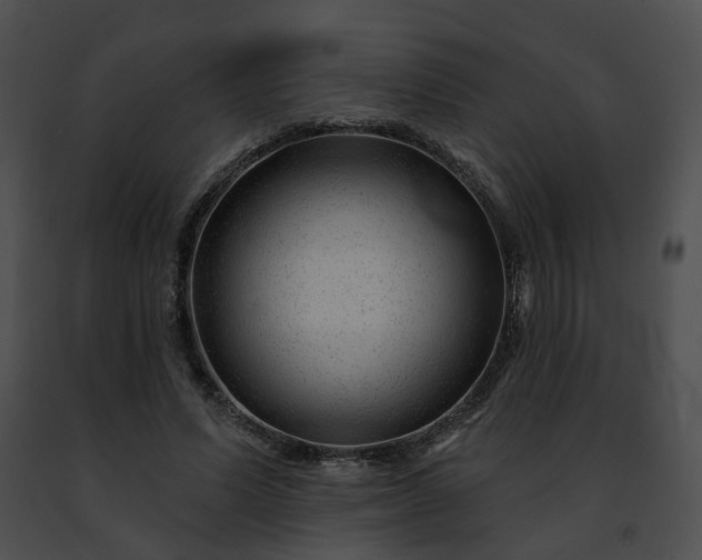 X0000091470591200708301855