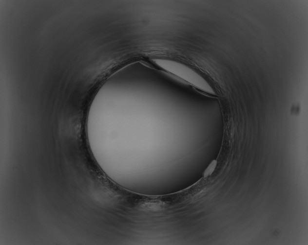 X0000091470595200708301855