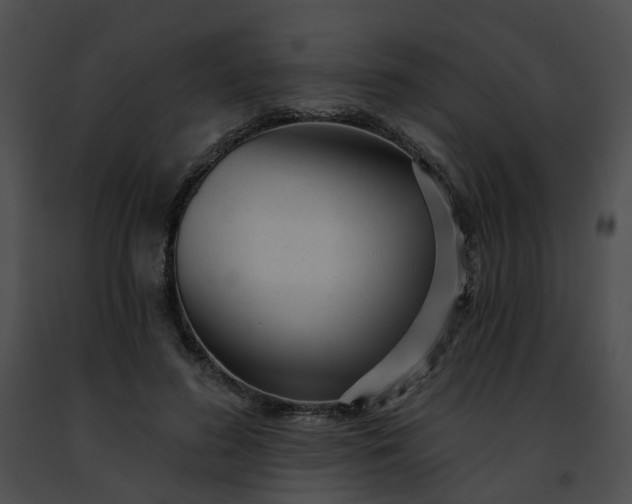 X0000091470596200708301855