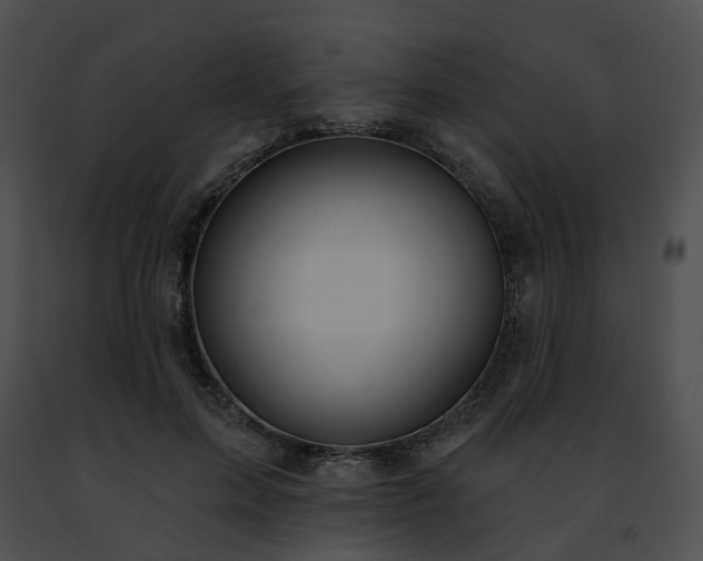 X0000091470599200708301855