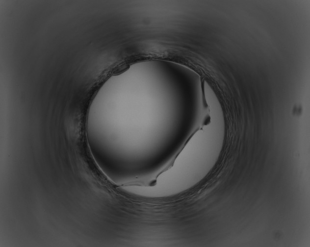 X0000091470600200708301855