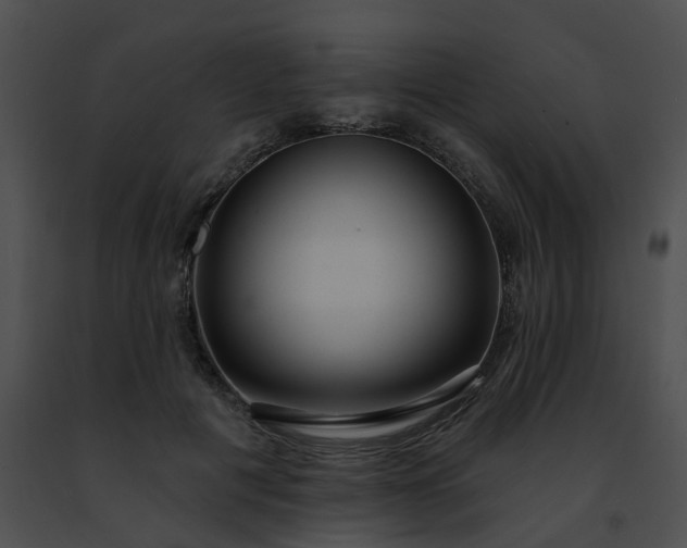 X0000091470601200708301855