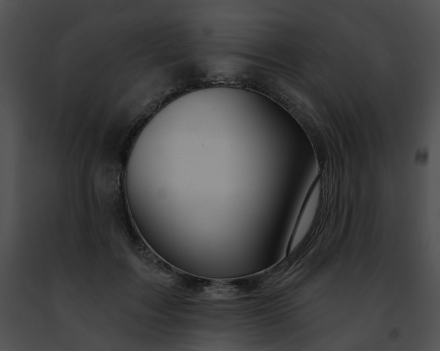 X0000091470603200708301855