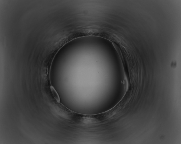 X0000091470605200708301855