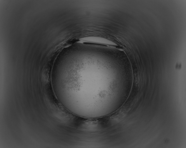 X0000091470606200708301855