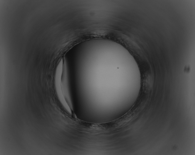 X0000091470608200708301855