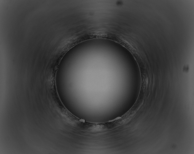 X0000091470609200708301855