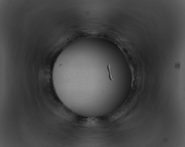 X0000091470612200708301855