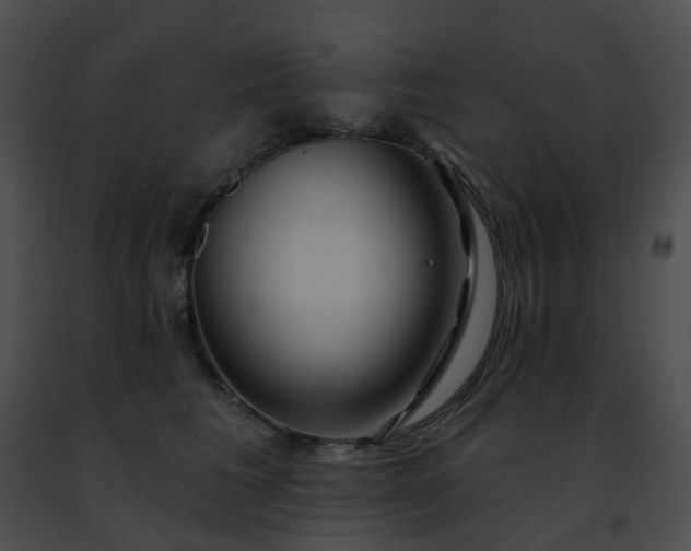 X0000091470613200708301855