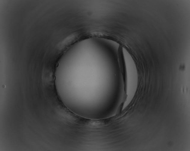 X0000091470619200708301854