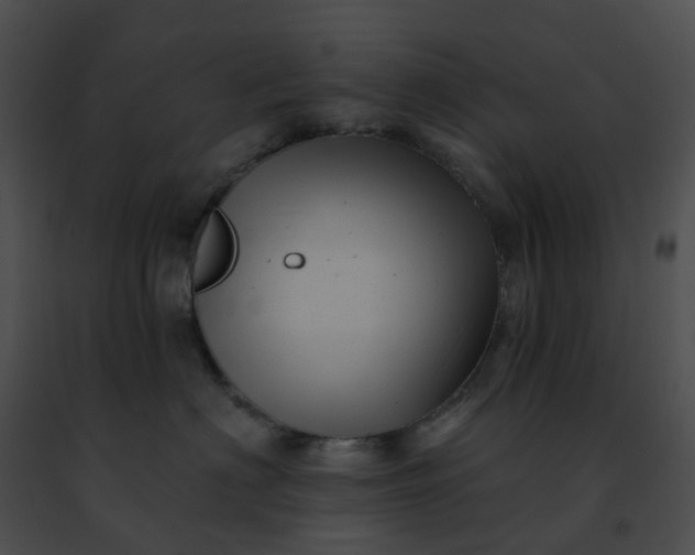 X0000091470622200708301854