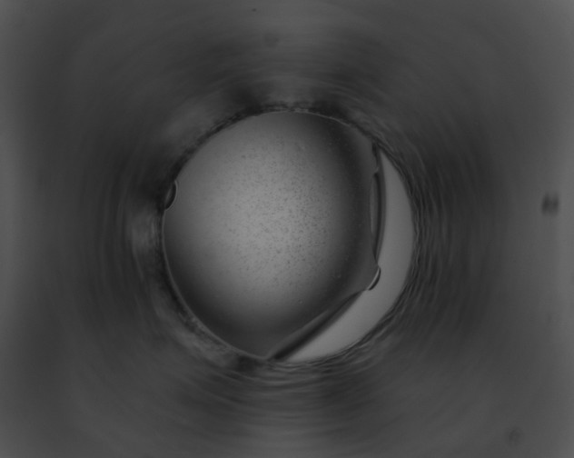 X0000091470623200708301854