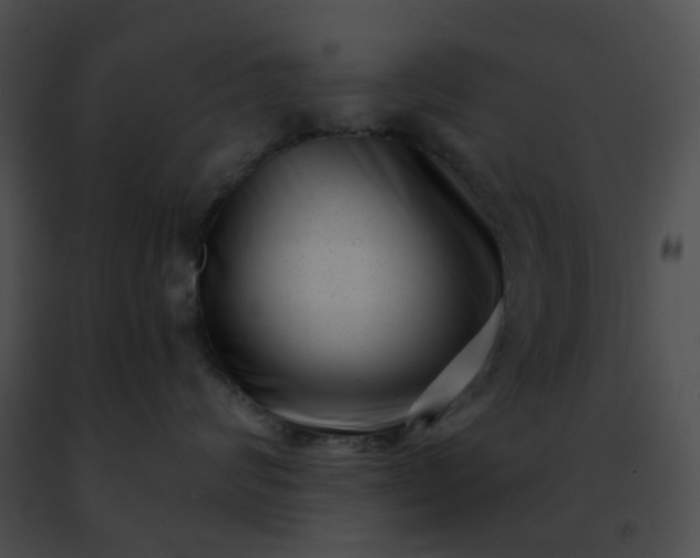 X0000091470624200708301854