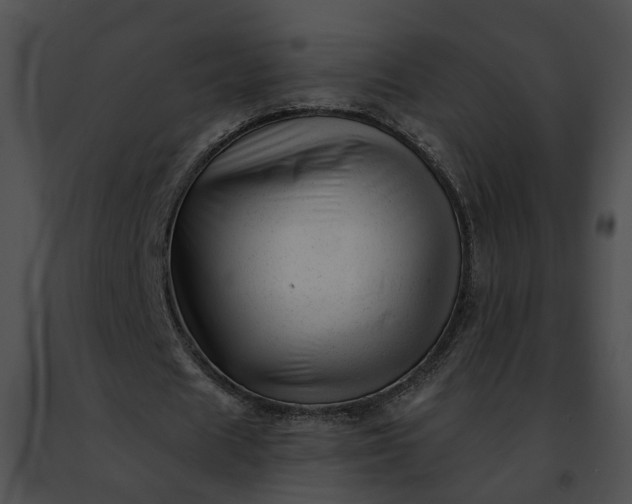 X0000091470625200708301854